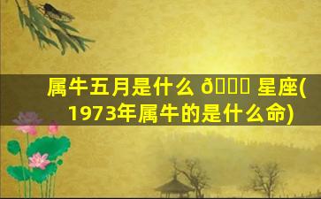 属牛五月是什么 🕊 星座(1973年属牛的是什么命)